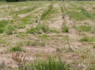 Achat vente terrain Benodet
