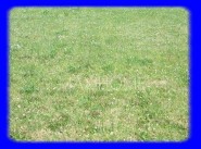 Achat vente terrain Camoel