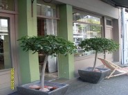 Bureau, local Lorient