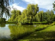 Immobilier Pace
