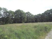 Terrain Locoal Mendon
