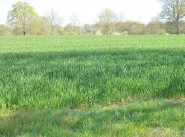 Terrain Montreuil Sur Ille